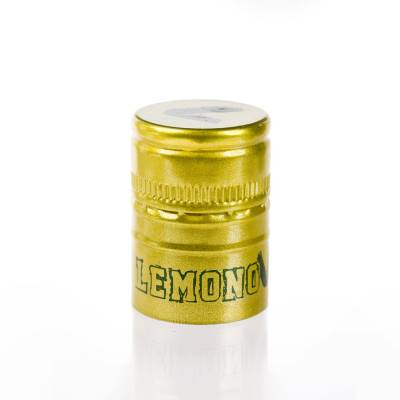 PP 31,5x44 mm-34-IMG-nav